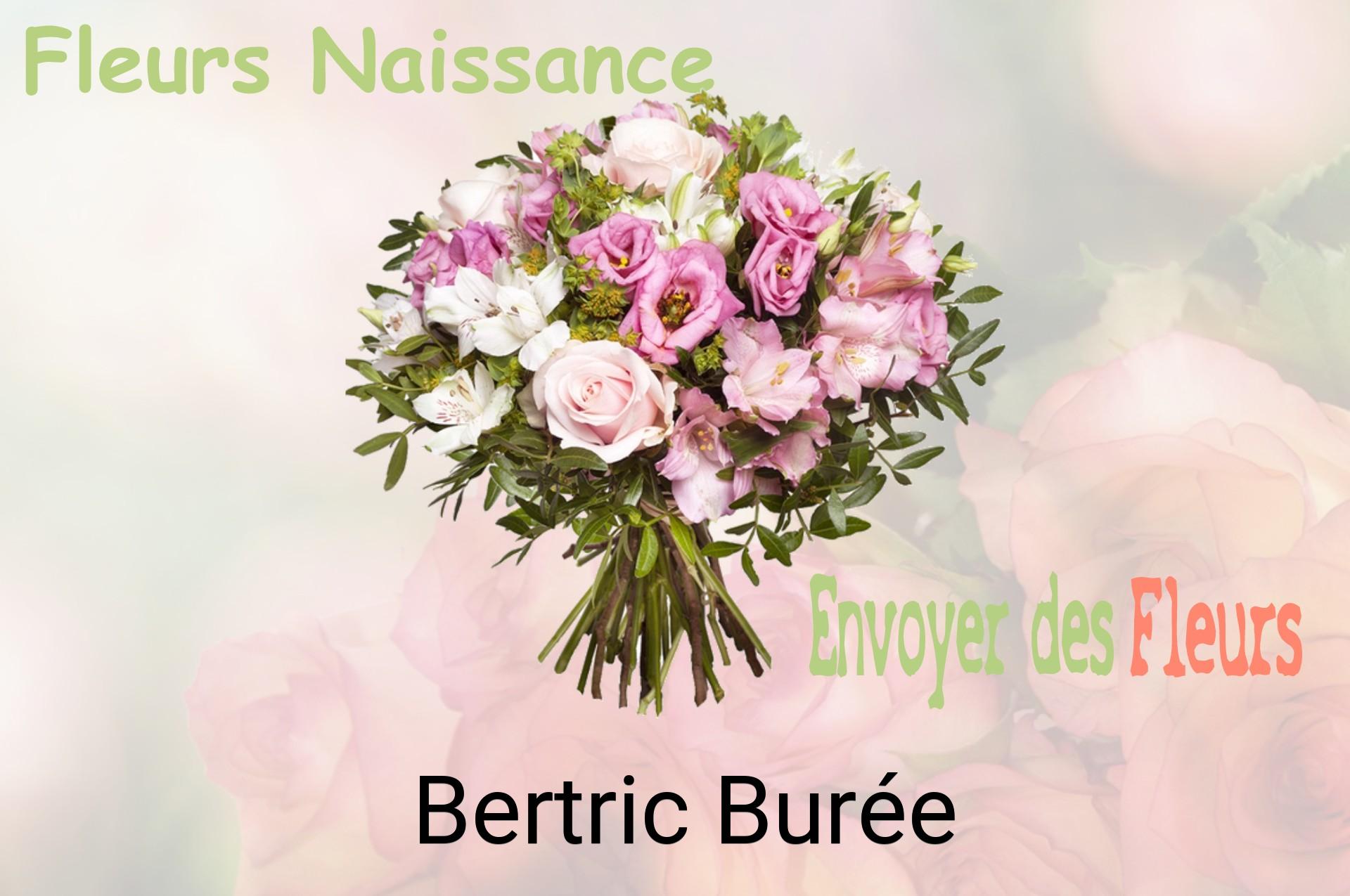Bouquet de fleurs de naissance livré à Bertric-Burée